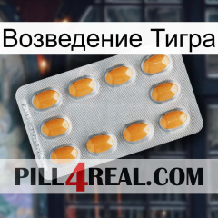 Возведение Тигра cialis3